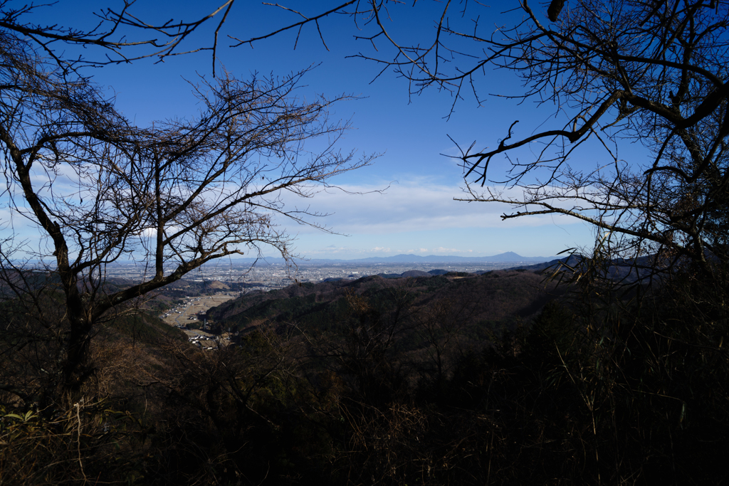 筑波山を望み！
