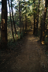 尾根道歩くよどこまでもｰ