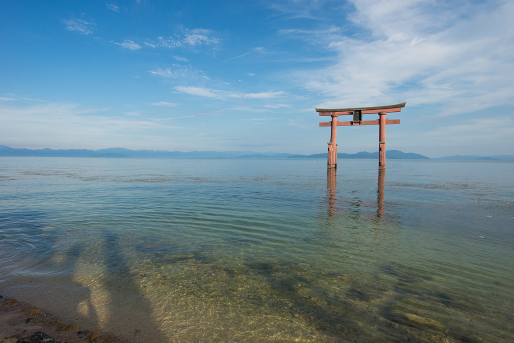 琵琶湖の水　（過去写真2013