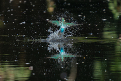 DSC03567
