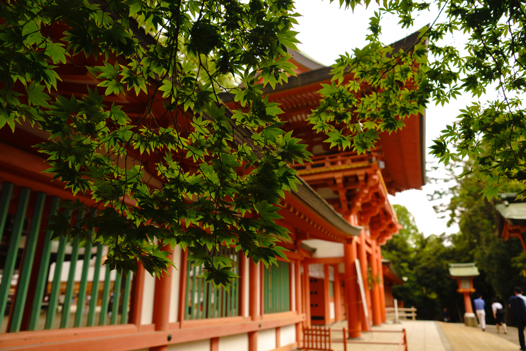 大宮氷川、秋の始まり