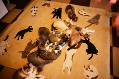 本物はどれかな～？