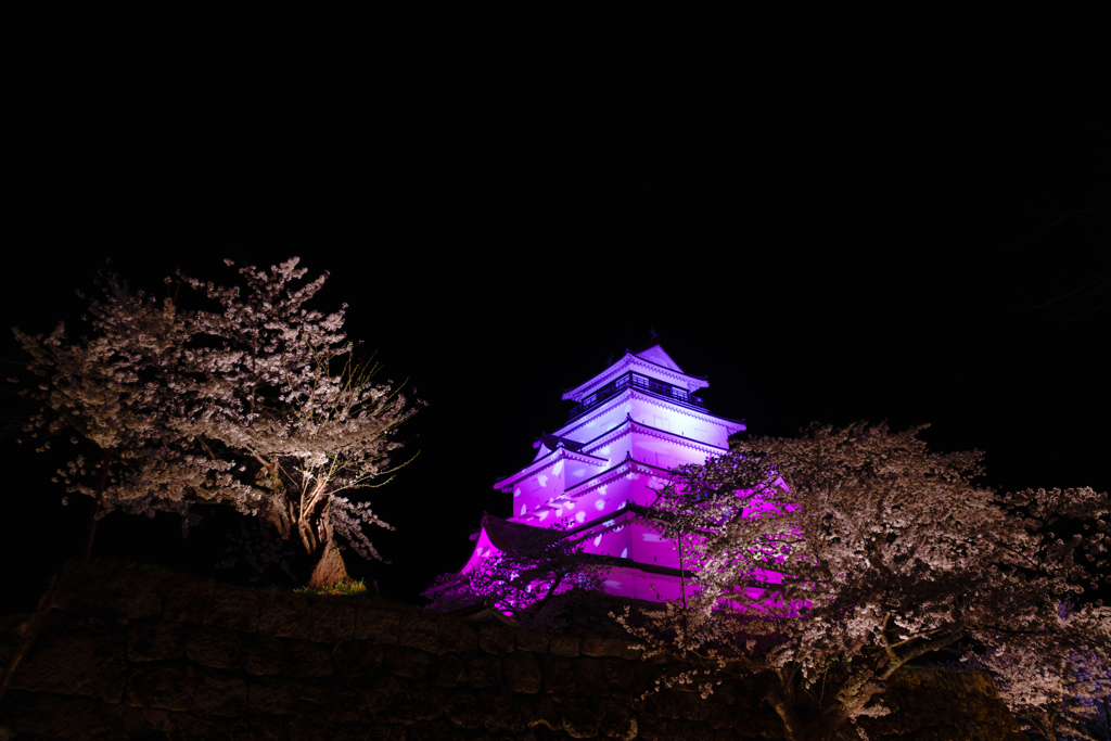 桜模様