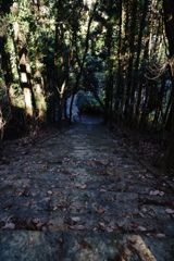 後ろを振り向いて