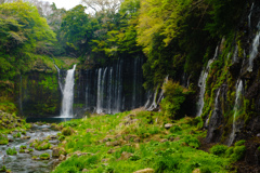 白糸の滝