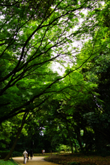 くもり空とみどりの傘