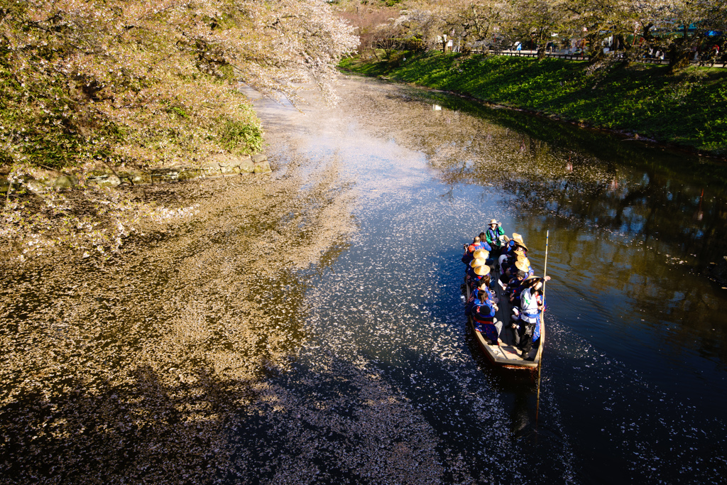 桜の河