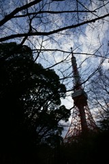 影ネットワーク (過去写真2012年4月