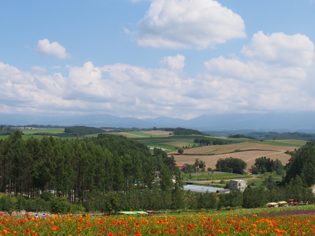 びえいな風景Ⅰ