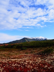 旭岳の紅葉♪