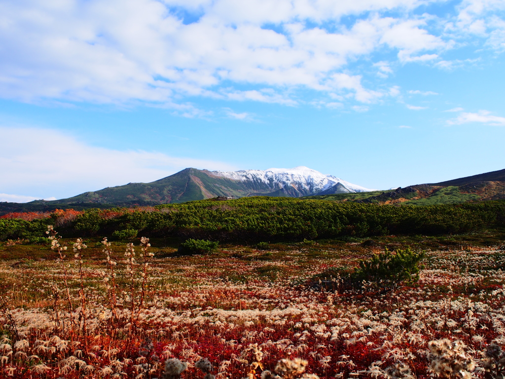 紅葉と山