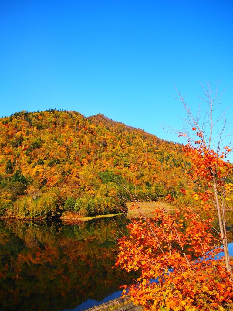 山と紅葉とさっぽろ湖と