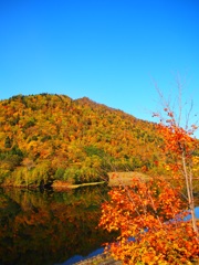 山と紅葉とさっぽろ湖と