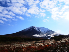 念願の旭岳