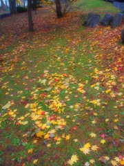足元の紅葉