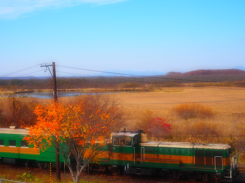 ノロッコ号