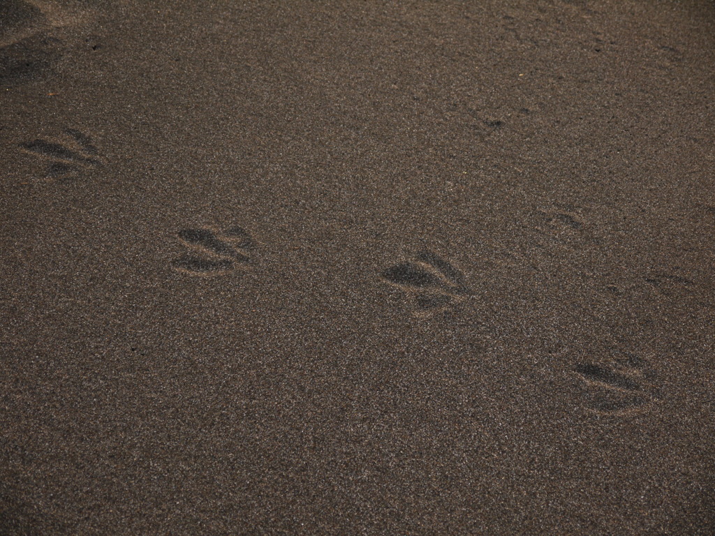てけてけ。