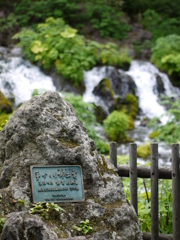 ふきだし公園にて