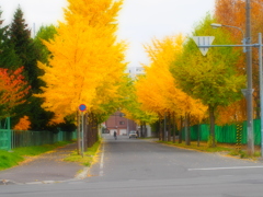 いつもの道～秋