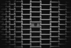 squares