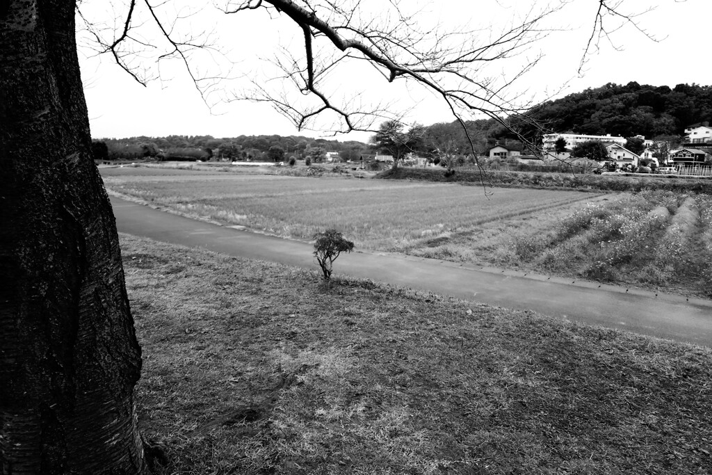 alone