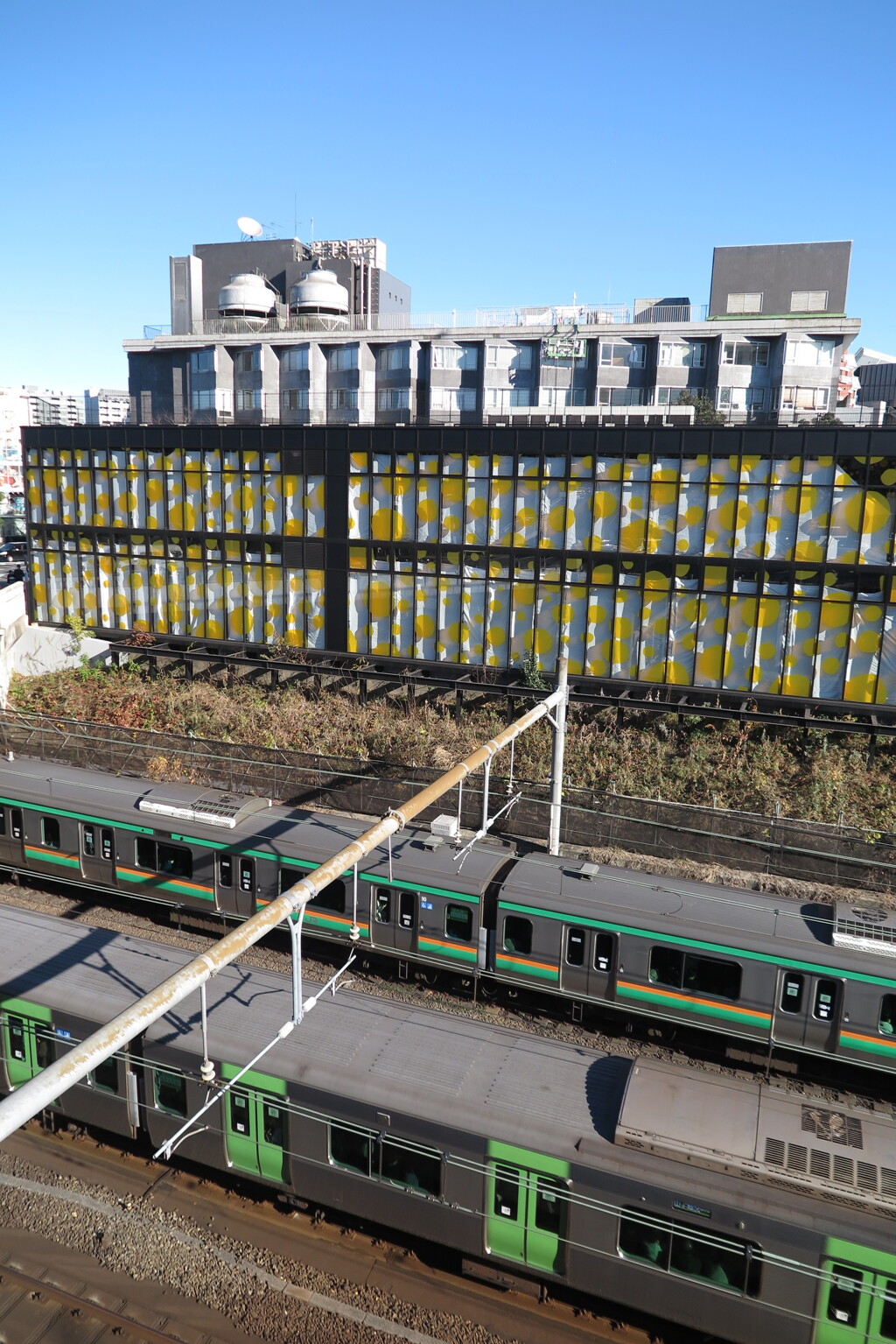 渋谷をぶらり