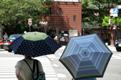 カサを入れてパシャリ