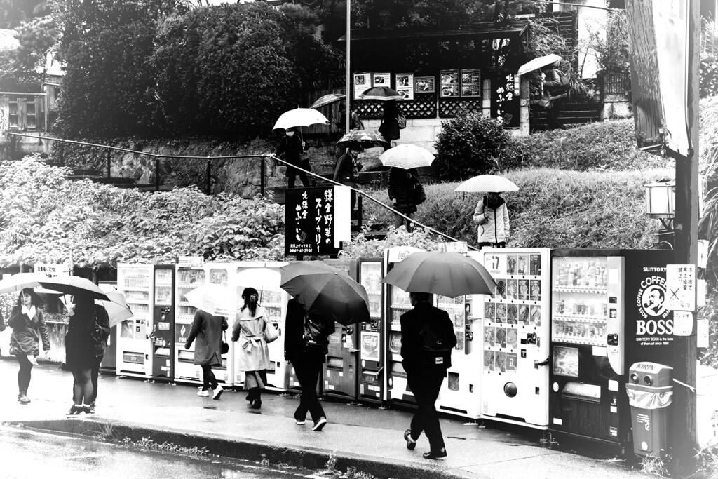 雨の日にパシャリ
