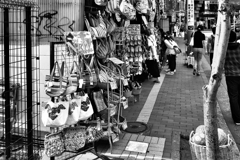暗号を解きながらパシャリ