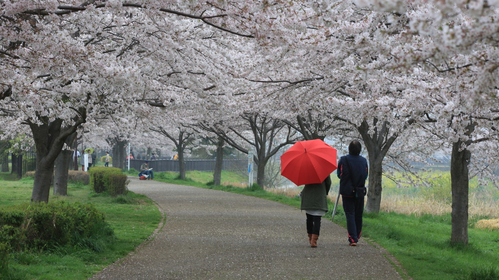雨の日にパシャリ