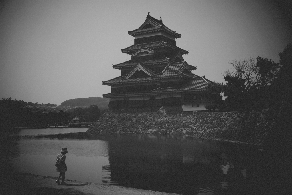 木からエネルギーを貰ってパシャリ