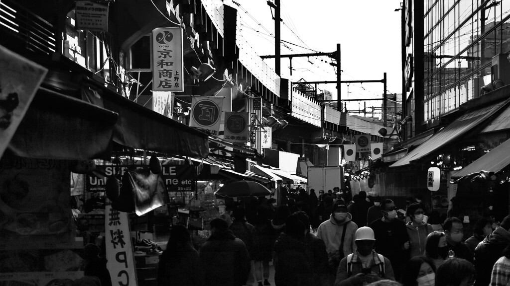 上野～竹橋スナップ