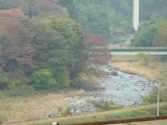 晩秋の川