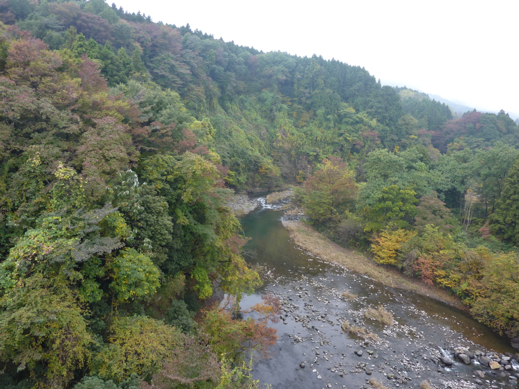 静寂な川と自然の彩り