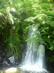 滝
