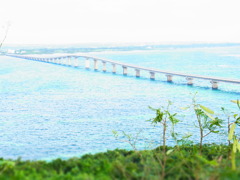 来間大橋