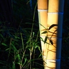 竹and影