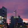 夕焼空