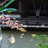秋を探して～鐘楼