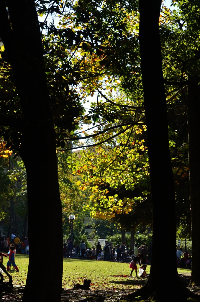 秋の公園にて