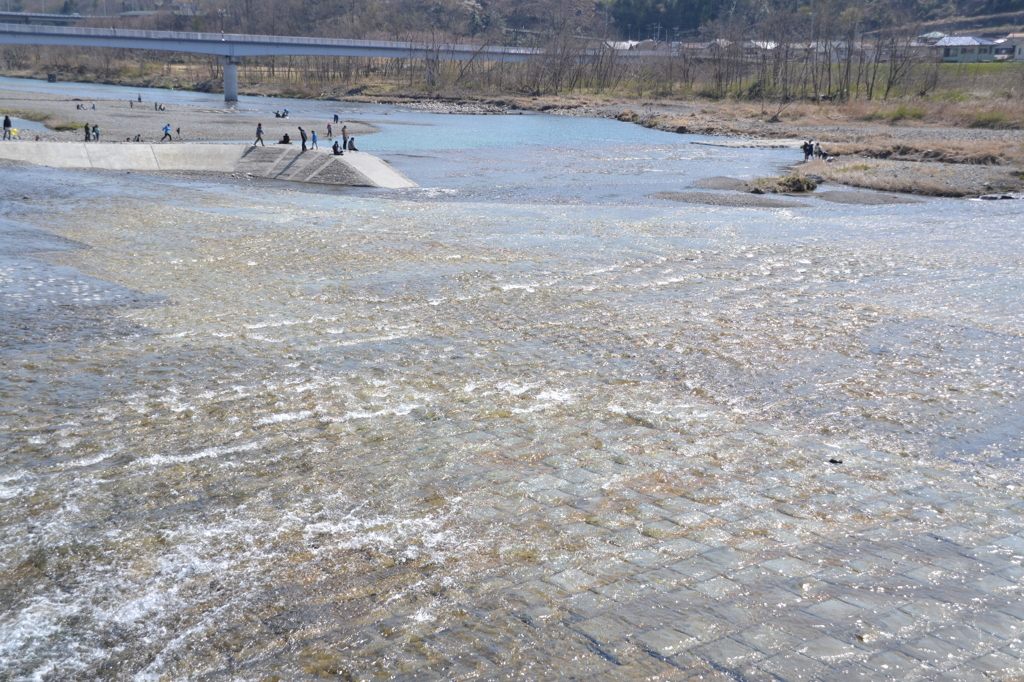 春の多摩川