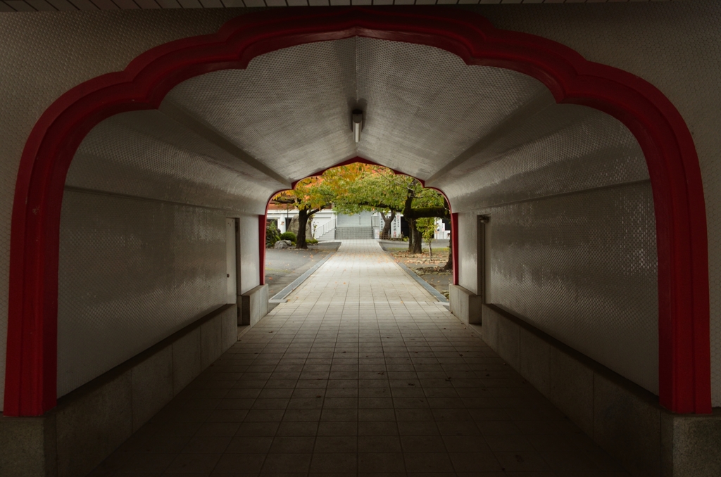 秋の通り道