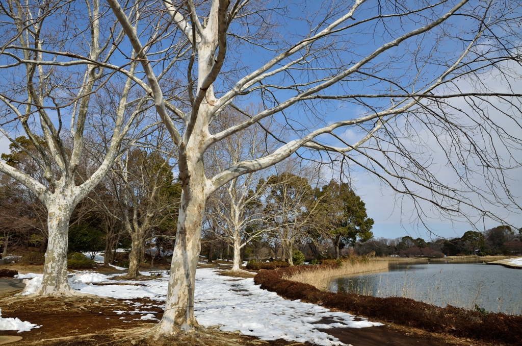 lingering snow