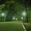 散歩ロード