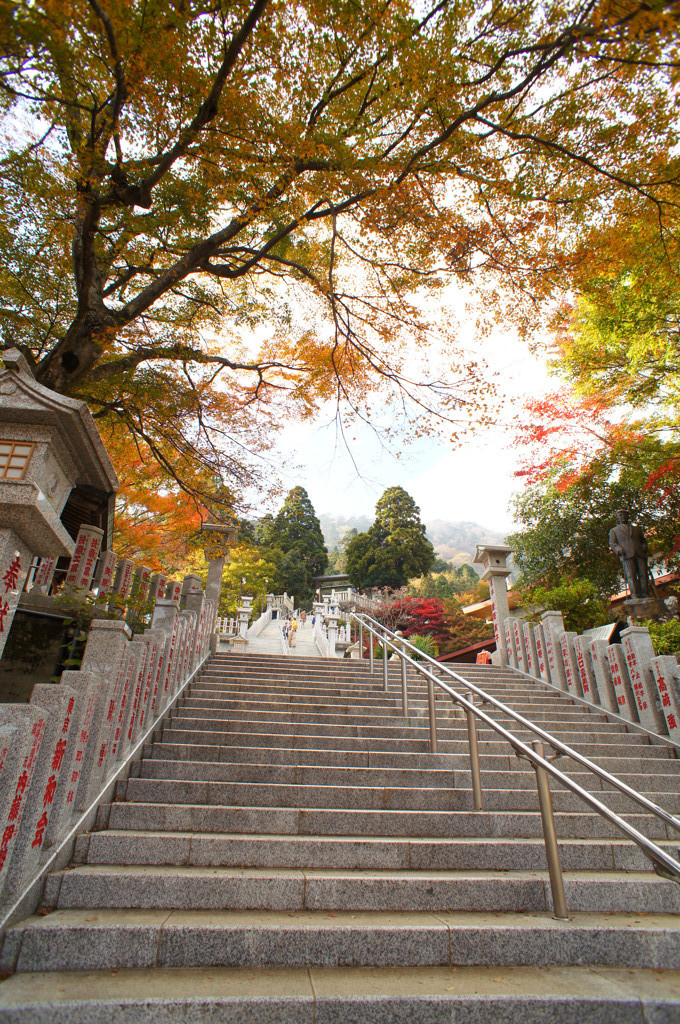 山（１１）