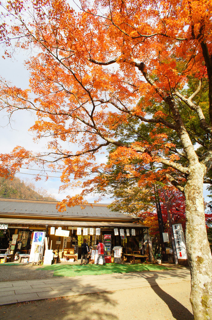 山（１０）