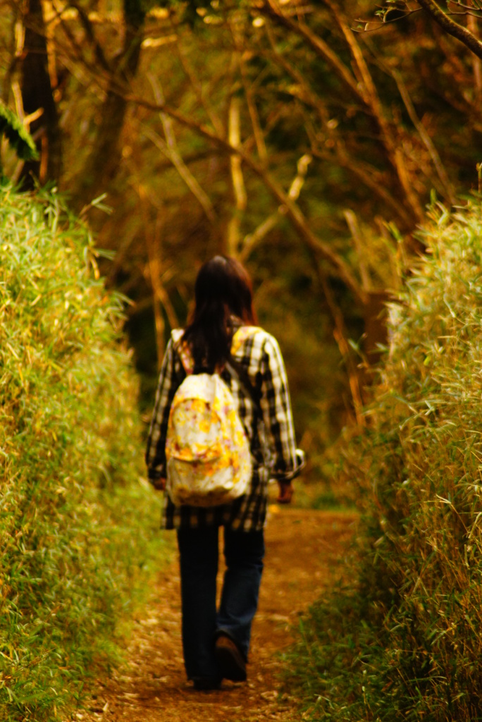 山（６）