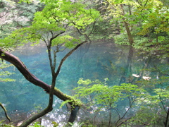 沸壺の池