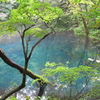 沸壺の池