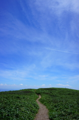 大空へ